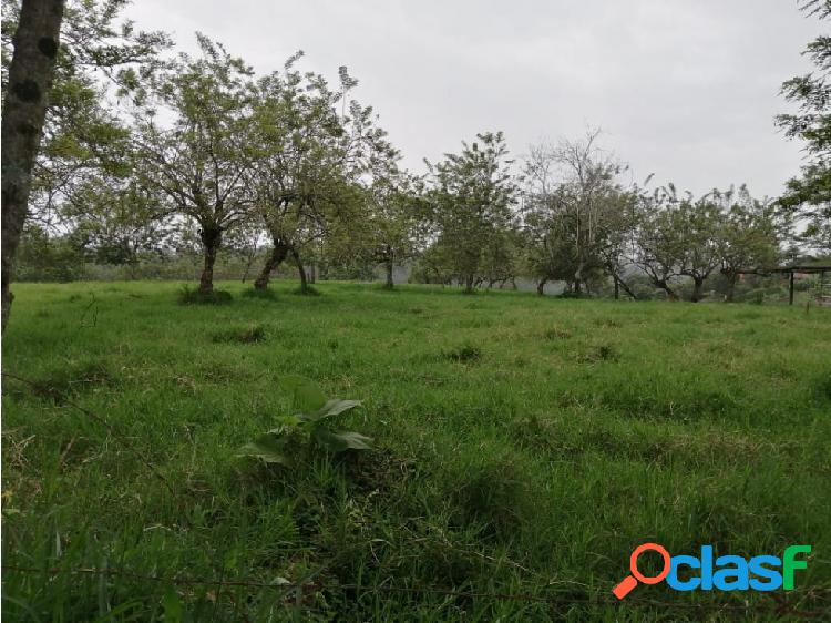 VENDO FINCA GANADERA BETULIA- VÍA ALCALÁ