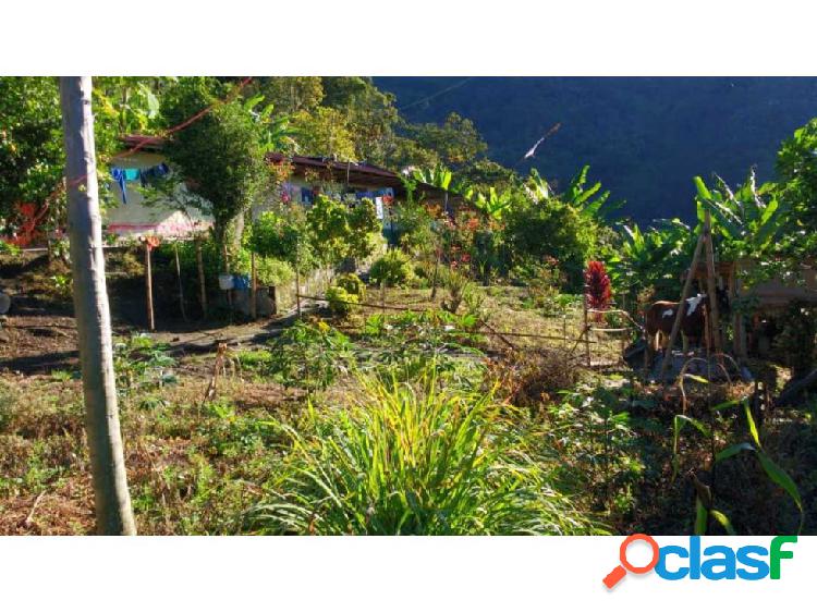 Venta Finca Cañón Combeima 3 hectáreas, Ibague, Tolima