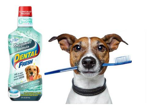 Enjuague Bucal Dental Fresh Para Perros 8 Oz