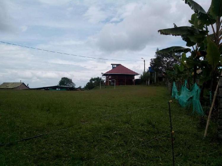 FINCA CHALET EN SEVILLA VALLE DEL CAUCA