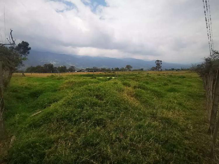 Finca en Venta cerca a la variante de Fusagasugá