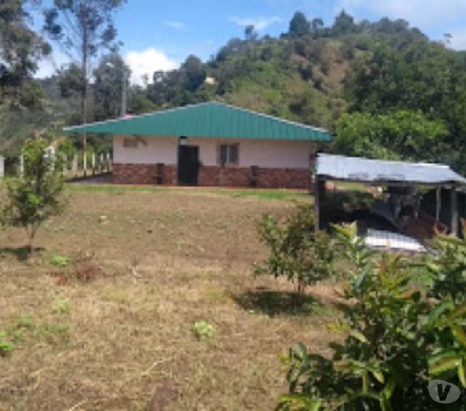 SE VENDE FINCA 30 HECTAREAS VIA MALAGA BUCARAMANGA