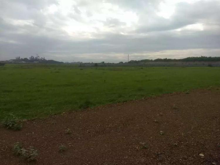 Lote de5000 estarás proyecto doble bia juanchito candelaria