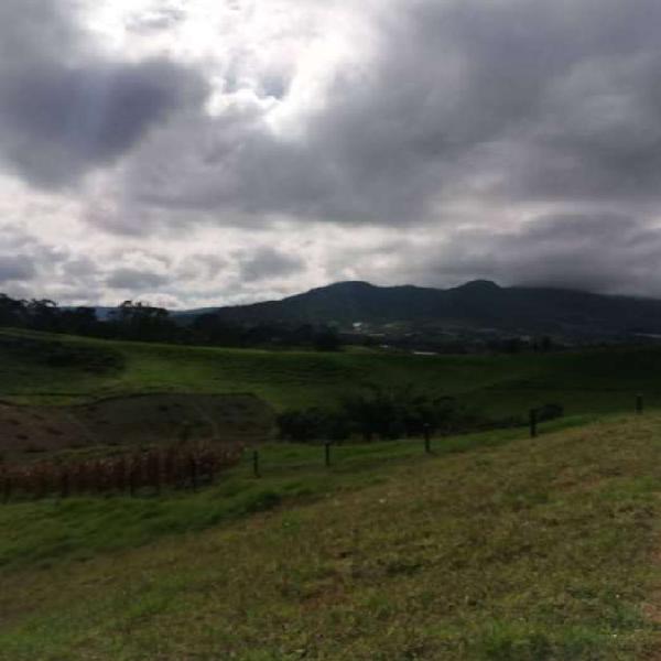 Lote en venta en El Carmen de Viboral (Antioquia) vereda