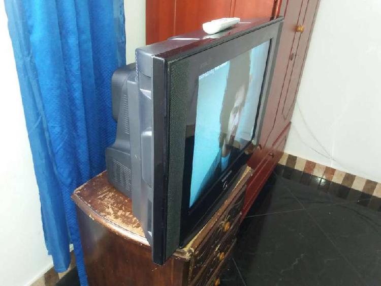 Televisor de 21 pulgadas marca challenger domicilio gratis