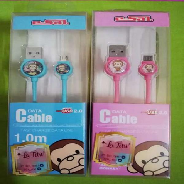 Cable USB 2.0 de 1.0m