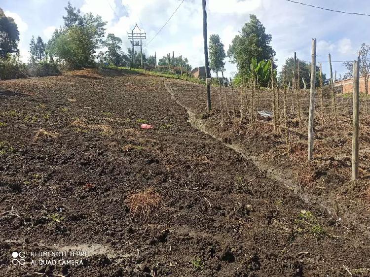 Lote en la Unión de 1,5 cuadras cerca a vía pavimentada