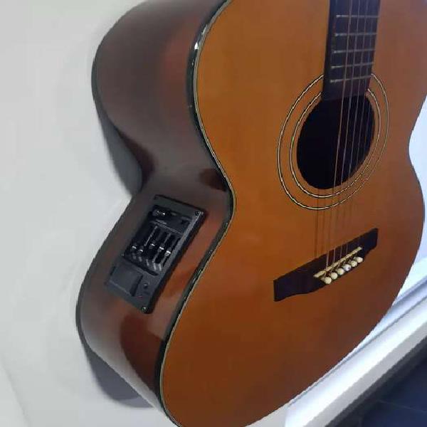 Guitarra takamine EG230 cuerdas de acero