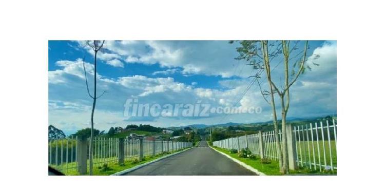 Lote en Venta Pereira Vía Armenia