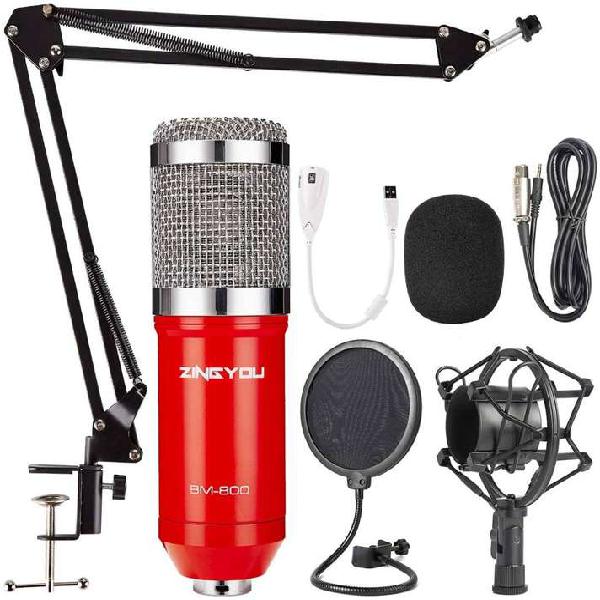 Microfono profesional BM-800.