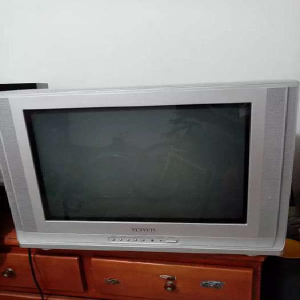 Televisor samsung 21 pulgadas