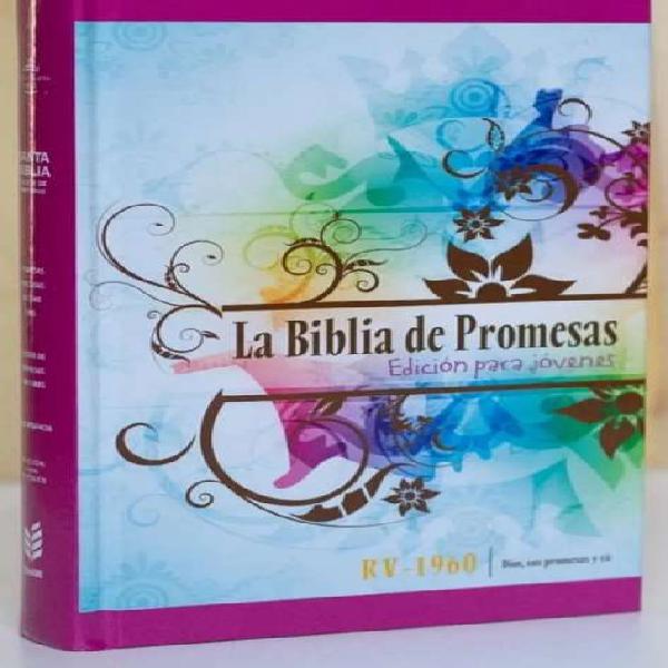 Biblia de promesas ilustrada edición para jóvenes tapa