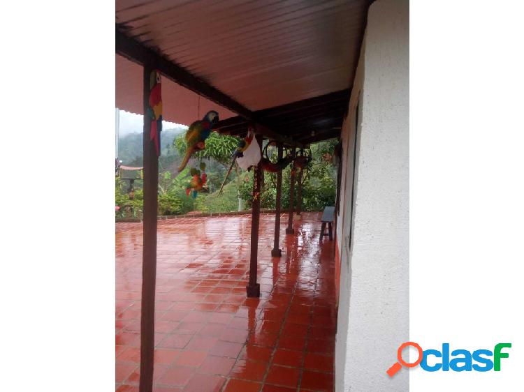 FINCA EN VENTA EN - RIONEGRO – 4 HECTÁREAS-CÓDIGO (487)