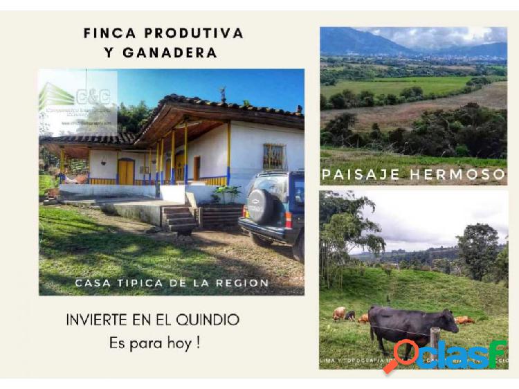 FINCA GANADERA EN EL QUINDIO 4771