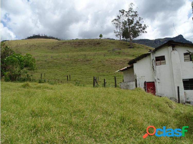 FINCA en PACHO - Vereda NEGRETE - 2.1 ha