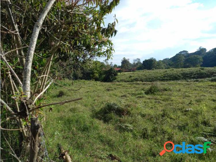 Lote campestre con reserva y quebrada en la autopista del