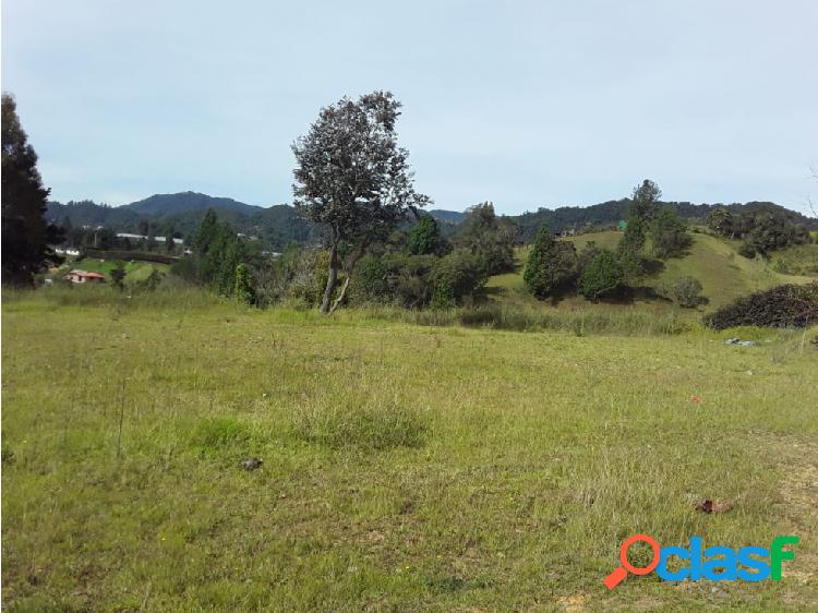 Lote en venta de 2.484 m2 en Alto Las Palmas en Envigado