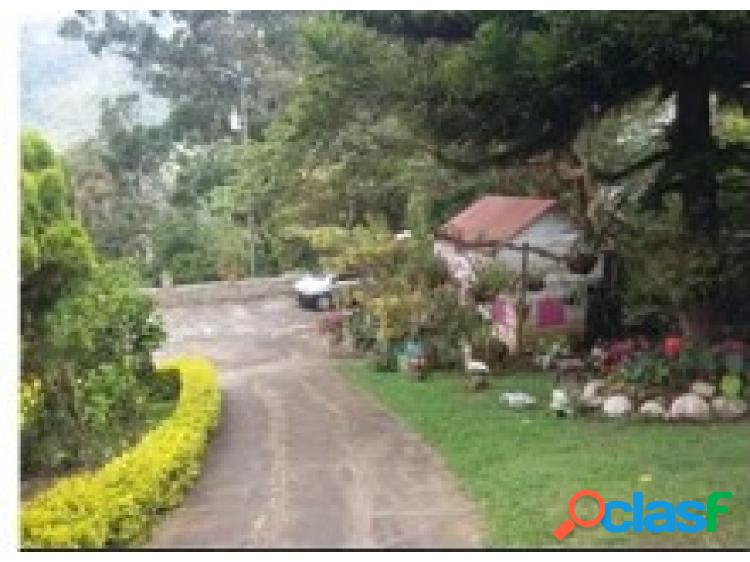 SE VENDE FINCA EN LA ELVIRA KM 14 - VALLE DEL CAUCA