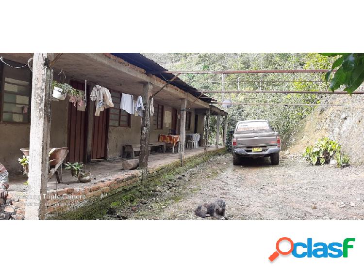 Se Vende Finca 7 Cuadras En Calarca