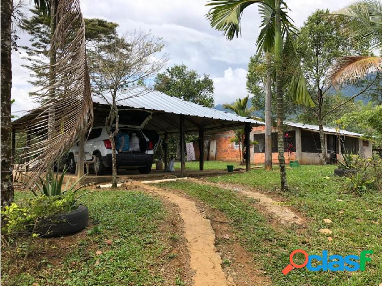 Se Vende Finca De 24 Hectáreas Meta