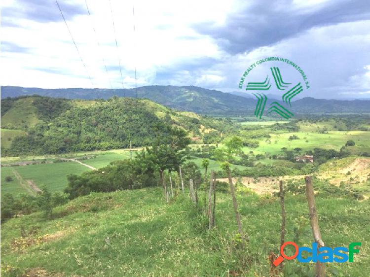 Vendo Lote Ideal para cria de Ganado Santuario Risaralda