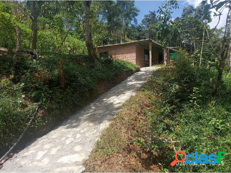 Venta de Finca Vereda La Villa San Carlos Antioquia