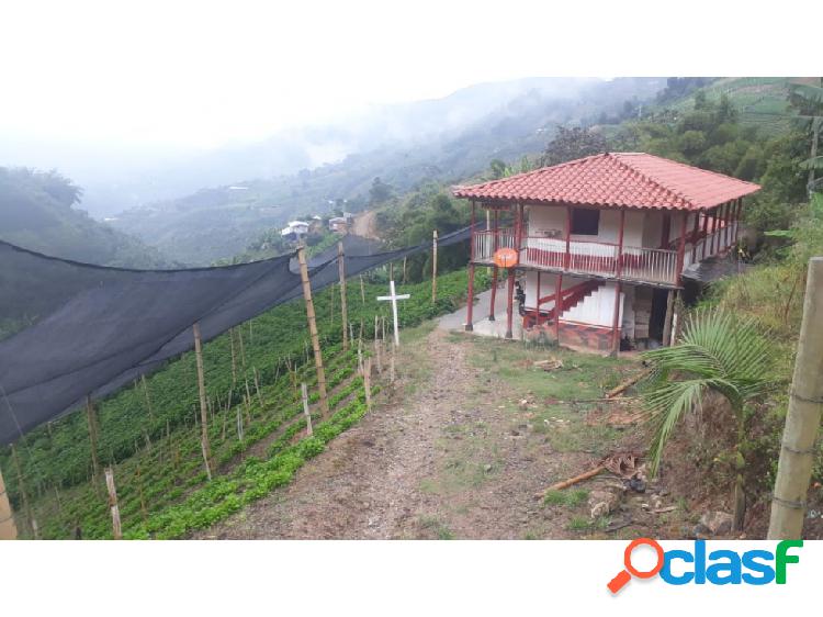 Venta de finca en La Ceja, Antioquia