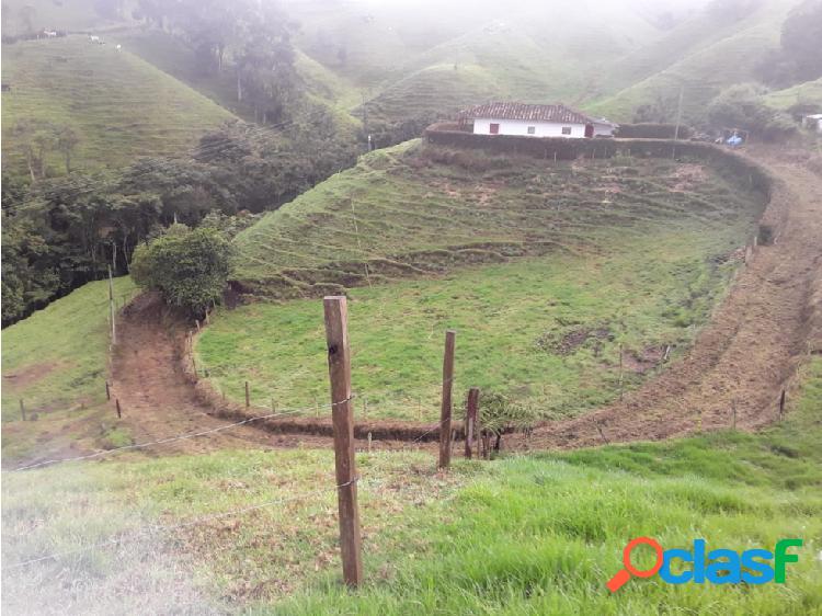 Venta finca La Unión Antioquia, 36.995 mts, agrícola, $650