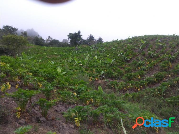 finca para la venta via calarca