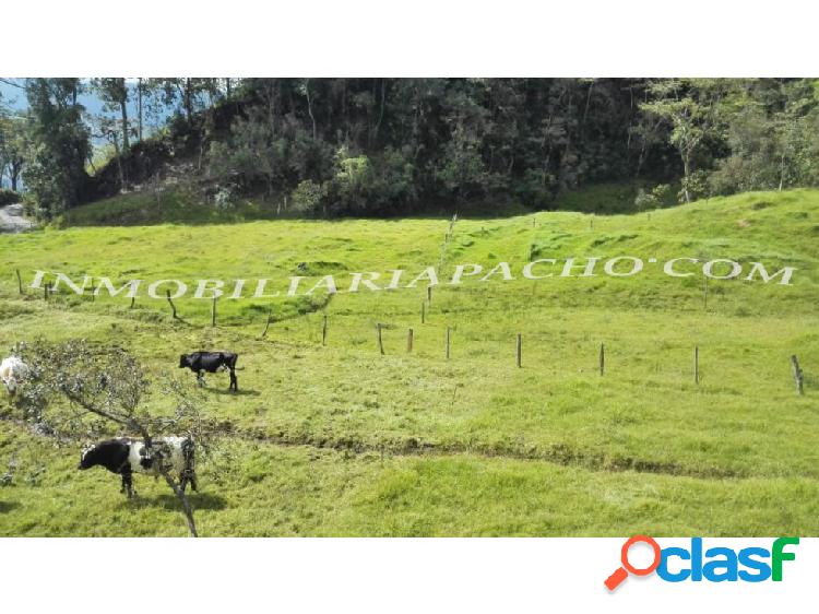 Finca Pacho, Cundinamarca, 28 Fanegadas A 20 km