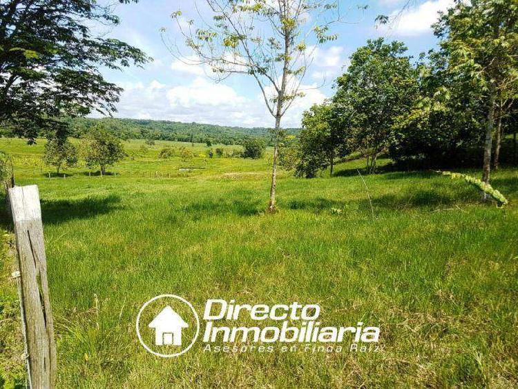 Finca en venta Sabana De Torres - Santander de 30 hectáreas
