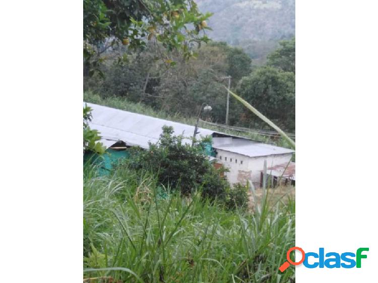 Se vende finca productiva