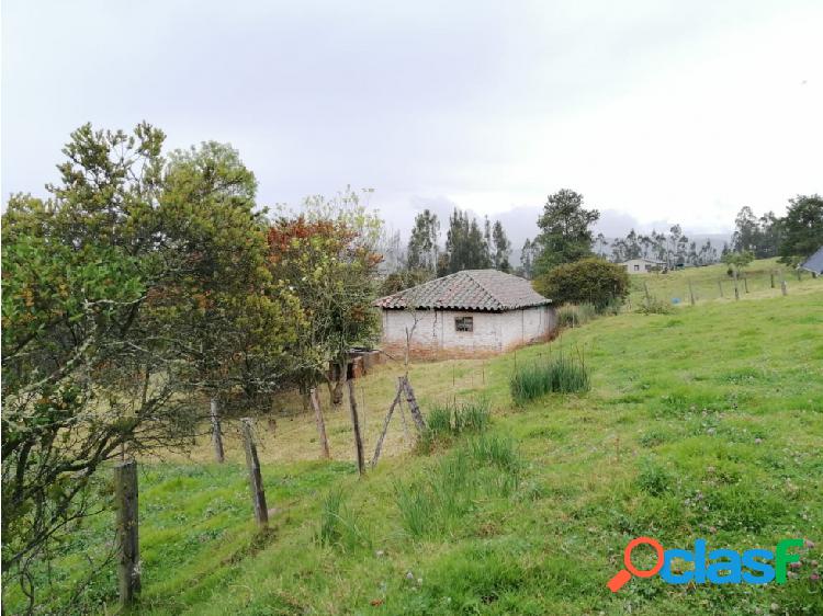 FINCA 4 FANEG. SOTAQUIRA BOYACA