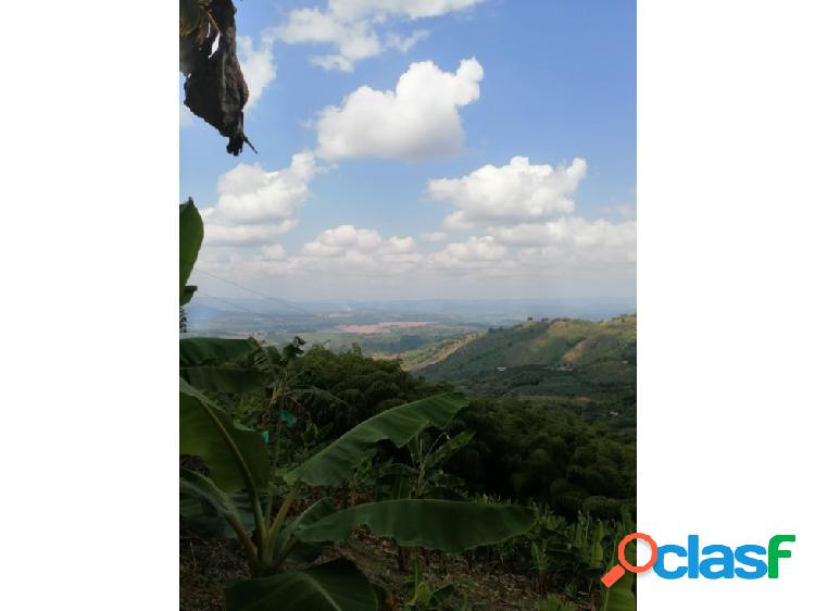 Se Vende Finca De 9.5 Cuadras Buenavista