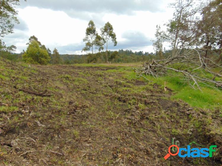 Lote El Retiro, Unidad Cerrada, Pantanillo