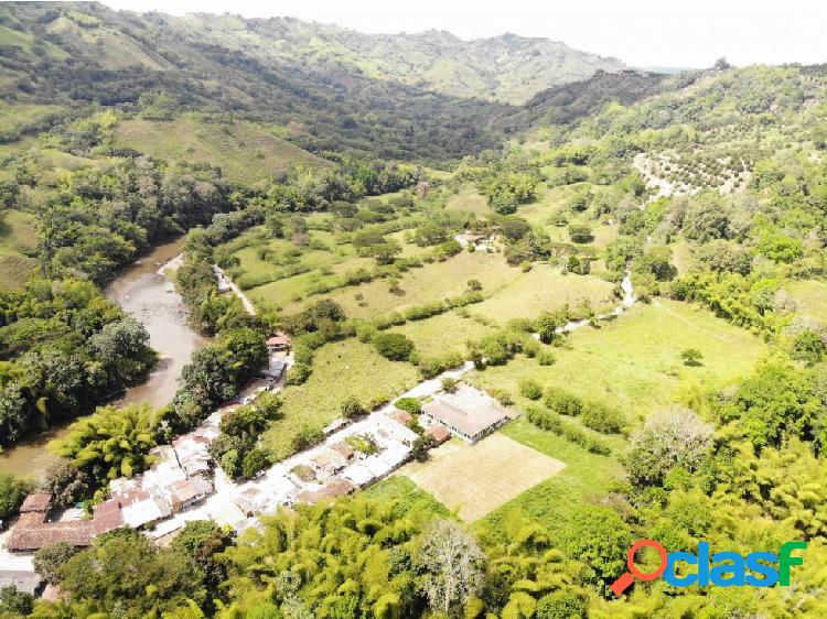 Venta finca en Puerto Alejandria Quimbaya 83c