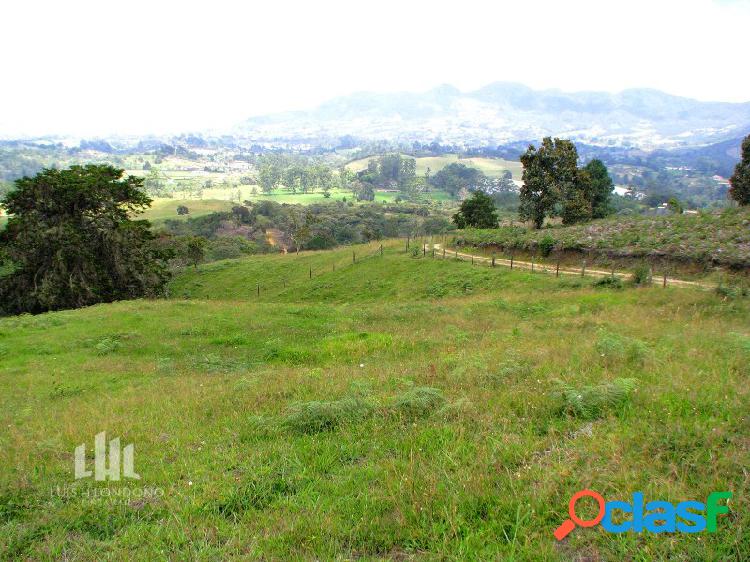 Lote Venta Rionegro