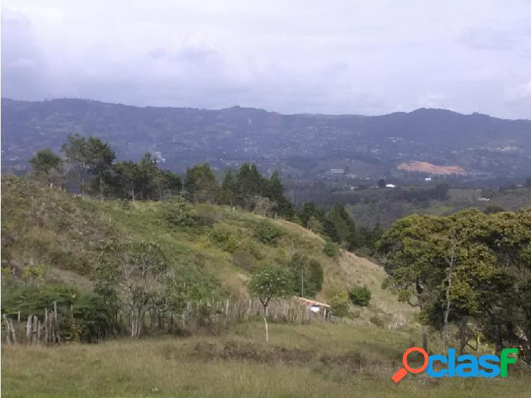 LOTE DE UNA HECTÁREA EN GUARNE MUY ECONOMICO