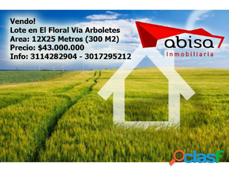 Lote en El Floral Via Arboletes