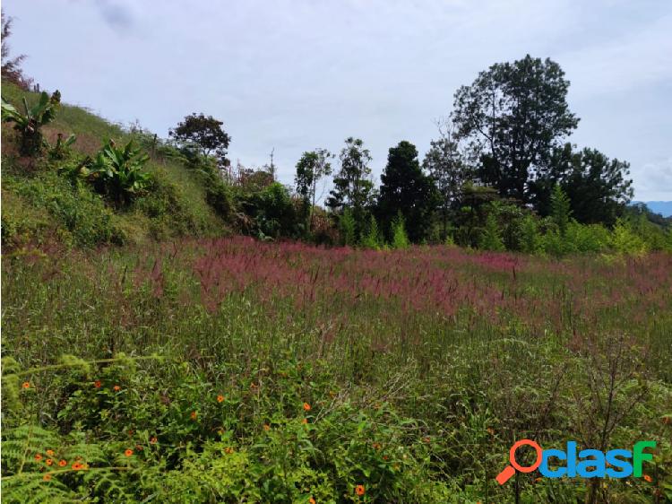 Lote en el Peñol Antioquia Excelente Ubicación