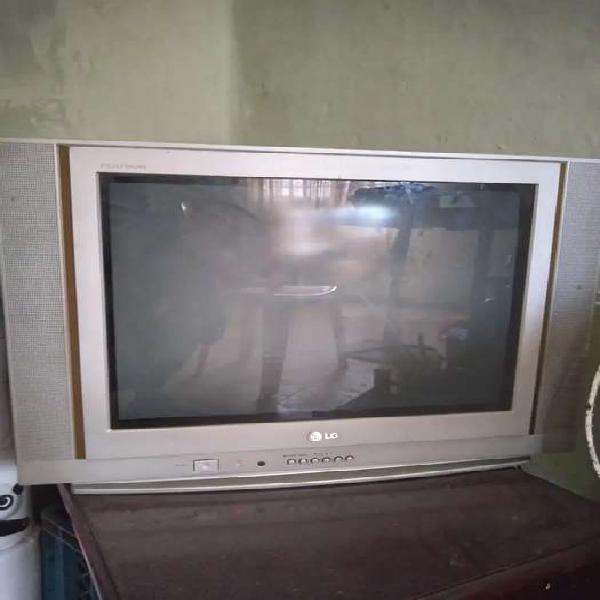 Se vende televisor LG de 21 pulgadas