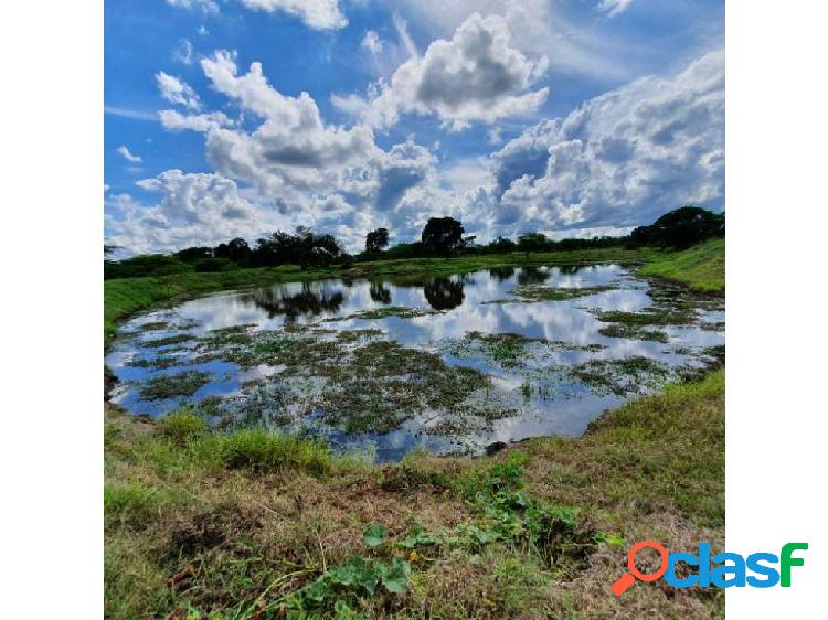 70 Hectareas Finca Ganadera - Agricola en Cascajal