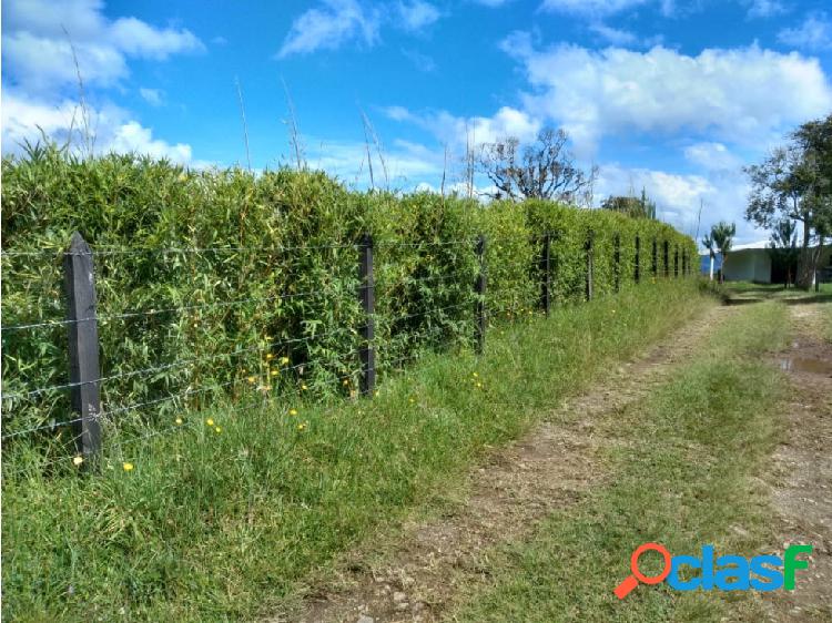 FINCA APTA PARA PARCELAR EN EL ORIENTE ANTIOQUEÑO