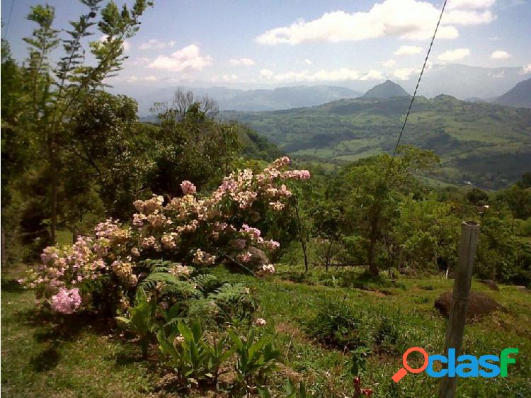 FINCA GANADERA EN VENTA SUROESTE ANTIOQUEÑO