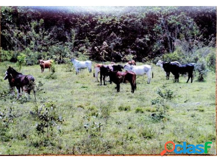 Finca Ganadera en Venta en Riofrio, Valle del Cauca