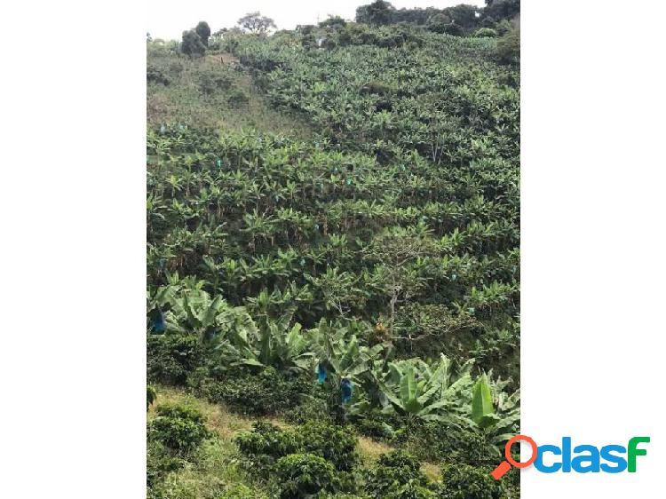 Finca en Caicedonia a 25 minutos del pueblo