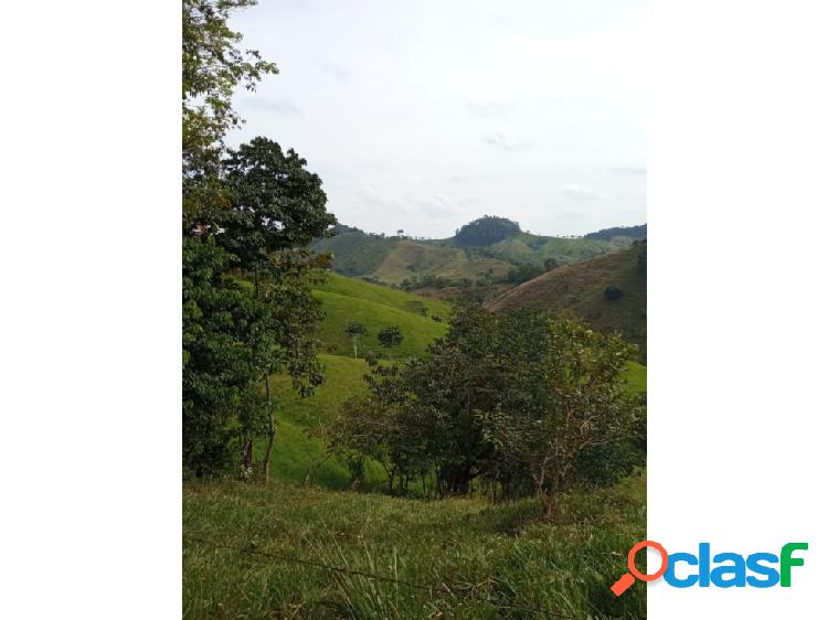 Finca en Caracoli Antioquia, de 230 Hectareas