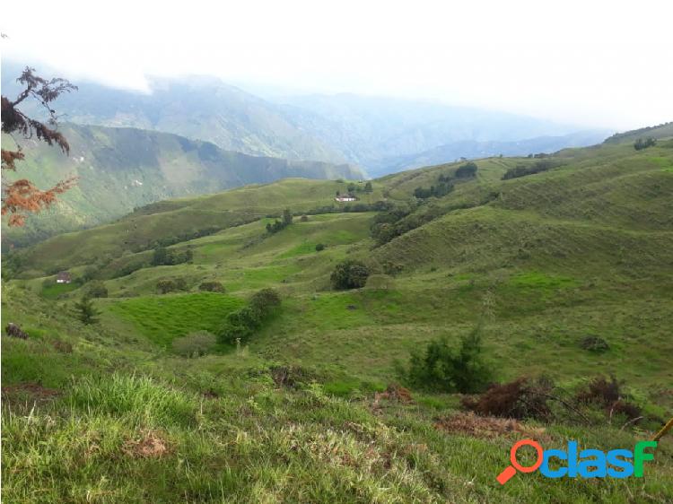 Finca en venta Sonsón Antioquia SA