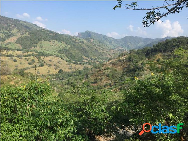 Lote en Venta en Parcelación Nimaima-Cundinamarca