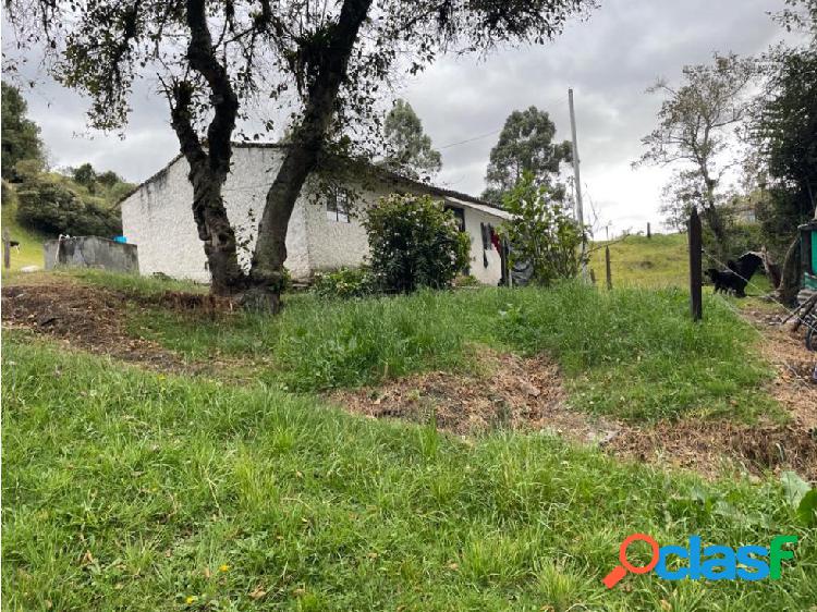 SE VENDE 2 FANEGADAS EN LA V. FLORESTA DEL MUNICIPIO DE